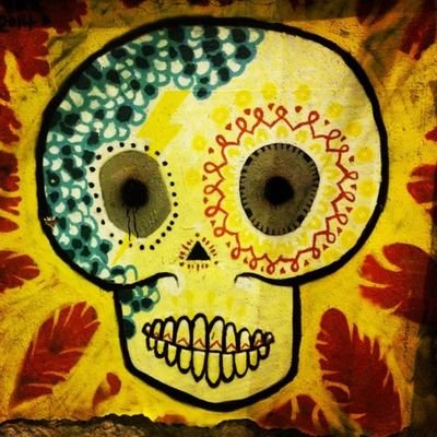 Adriana Spappa's profile picture