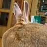 Profilbild von ã¯ãŽðŒ