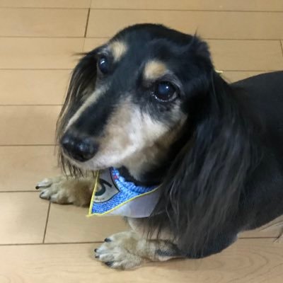 xx1Zuk0nujarhY5's profile picture