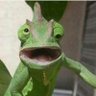 Srgnt_Chameleon profil fotoğrafı