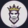 Фото профиля voice?