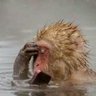 Ngola-A-Nkanga's profile picture
