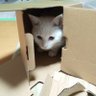 Profilbild von からっちょす