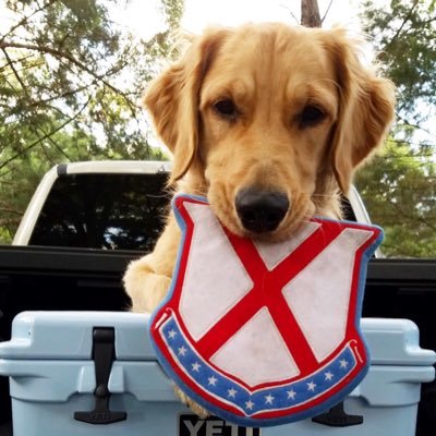 Old Row Pups's profile picture