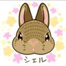 美香🌸🐰🐱🐱 的头像