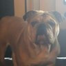 jacko profil fotoğrafı