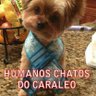 Alessa O crime compensa.'s profile picture