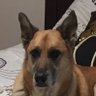 Profilbild von Bob