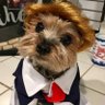 Peanut2024 profil fotoğrafı