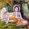 भारतीय-मेरा भारत 🇮🇳महान's profile picture