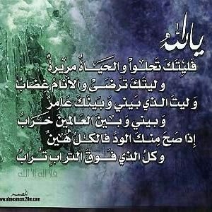 reemalrowahig's profile picture