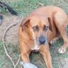 Conuquero's profile picture