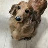 nobu's profile picture