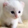 ヒロ@huru's profile picture