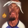 Themass1 💫💥☄️ profil fotoğrafı