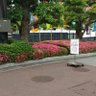 まーる 的头像