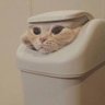 KaiZen's profile picture