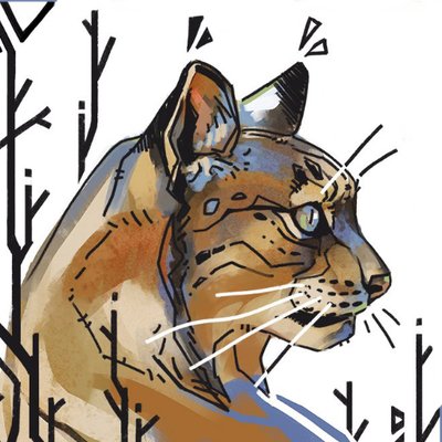 Alsares's profile picture