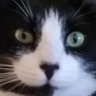BuddysMagic profil fotoğrafı