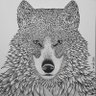 Profilbild von masah