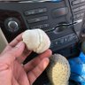 سعيد البحيري 的头像