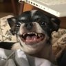 Profilbild von KuiSMORKS
