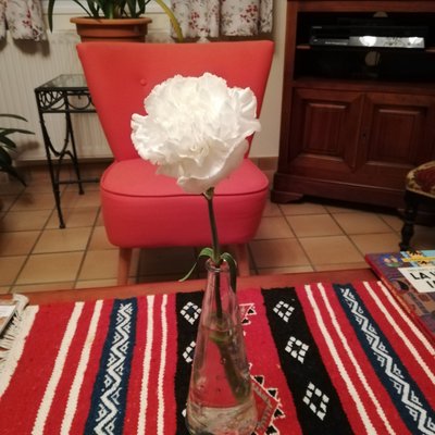 RogezVeronique's profile picture