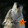 Comrade - товарищ profil fotoğrafı