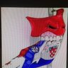croationkidd profil fotoğrafı