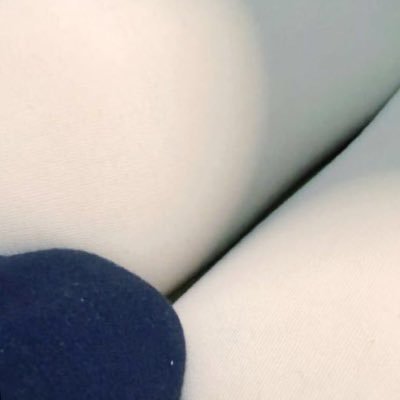 流芯蛋黄派's profile picture