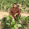 Фото профиля Ahmed abogehad
