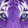 Tangent Talk's profile picture
