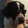 Οτεџ Φεðορ's profile picture