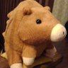ナナフシ's profile picture