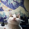 Фото профиля Max