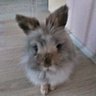 Profilbild von Wilfried Brudny