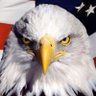 Michael's profile picture