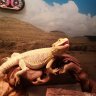 Lizardman877🟦 的头像