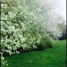 Фото профиля باريس نجد