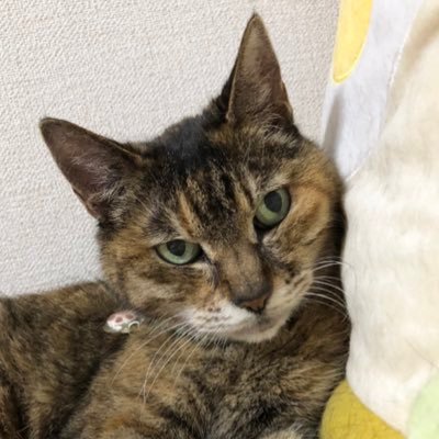 ponta_unizo's profile picture