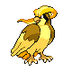 Фото профиля 018 - Pidgeot