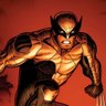 Фото профиля Wolverine