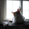 Hsuanyi F profil fotoğrafı