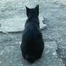 Фото профиля タカトン♪