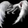Rachael Q.'s profile picture