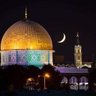 ندى ياسمين profil fotoğrafı