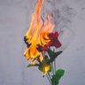 Mystic Rose 的头像
