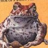 Garp profil fotoğrafı