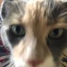 Jeff's profile picture