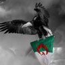 Фото профиля kacem kacimou
